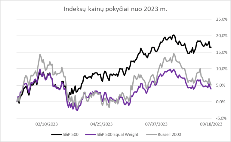 Šiuo metu esančios galimybės investuoti rinkoje