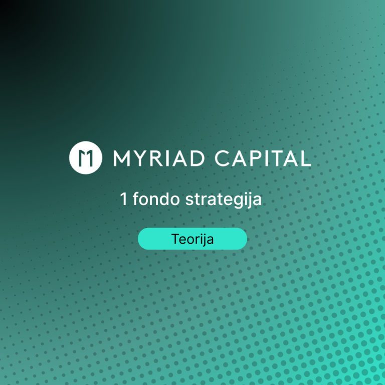 Vieno fondo portfelis – strategija